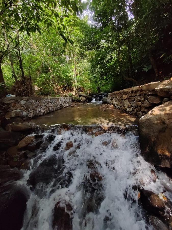 Forest And River Edge Resort Kannur Ngoại thất bức ảnh
