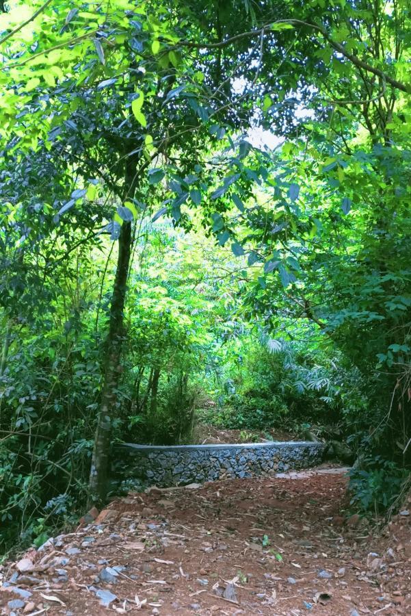 Forest And River Edge Resort Kannur Ngoại thất bức ảnh
